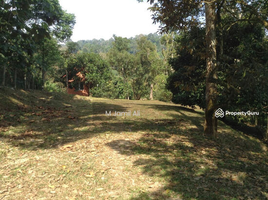 Agricultural Land For Sale Agri Land Sg Serai Hulu Langat Sg Sg Serai Hulu Langat 43300 Malaysia Aland