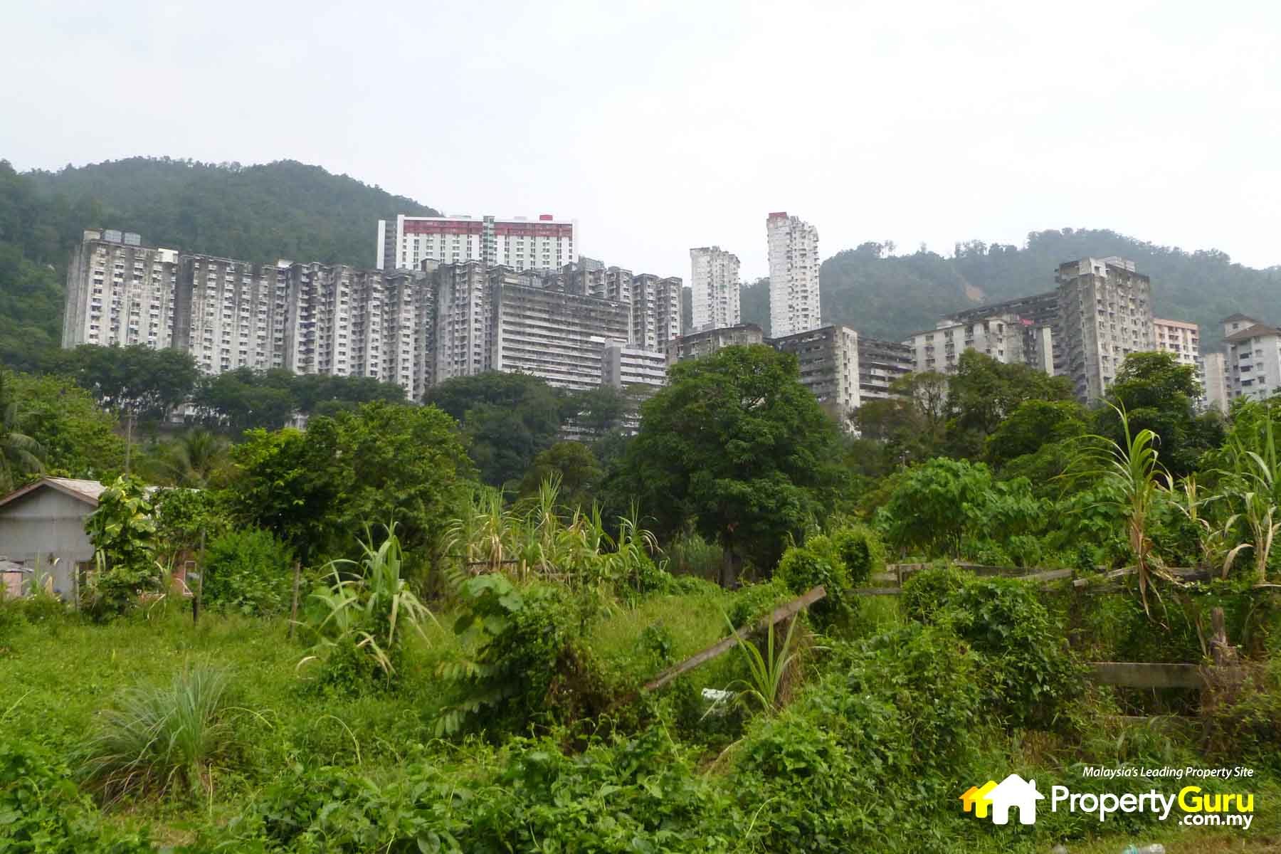 Eco Terraces, Paya Terubong Review | PropertyGuru Malaysia