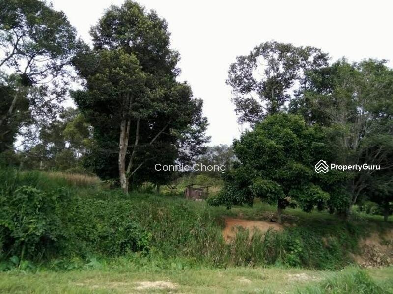 Tanah 921 Acre Of Agriculture Land Sg Gadut Rantau Ulu Rantau Negeri Sembilan Rantau Seremban Negeri Sembilan Agricultural Lands For Sale By Connie Chong Rm 10 25438130
