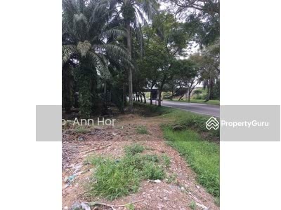 Agricultural Land For Sale In Seberang Perai Selatan Mainland South Penang Propertyguru Malaysia