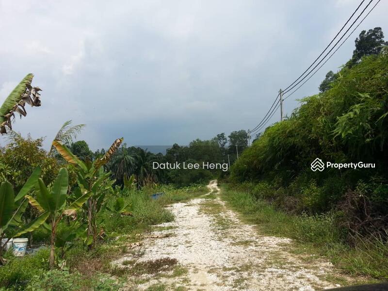 Kg Keramat Pulai Sungai Raya Ipoh Lcw 6 5 Km From Balai Polis Simpang Pulai Simpang Pulai Ipoh Perak Agricultural Lands For Sale By Datuk Lee Heng Rm 3 200 000 28866145