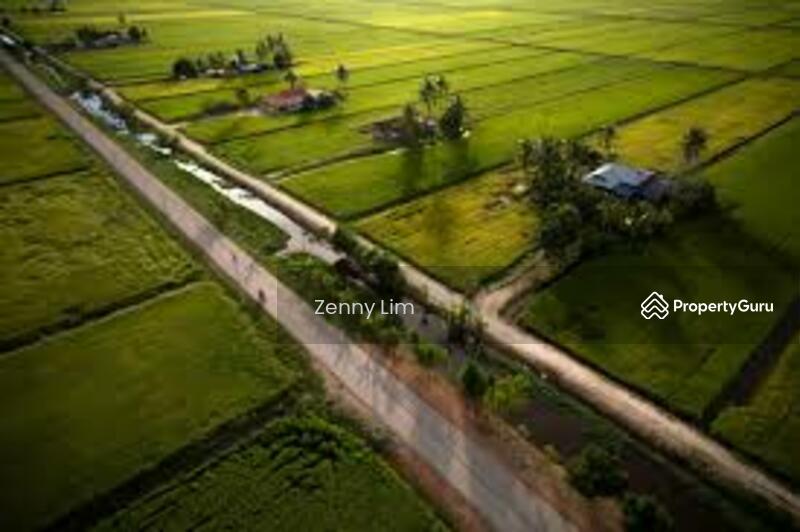 Sekinchan / Tanjung Karang Agricultural Land / Paddy Field for Sale