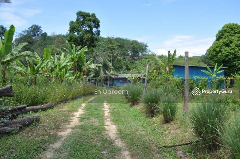 Rumah Hutan Batang Kali  Rumah Hutan Bonda Rozita Ibrahim Malaysia