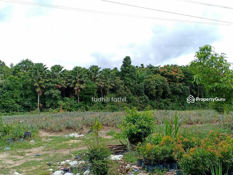 MUKIM Kalumpang, Kalumpang resort, Kerling, Hulu Selangor, Selangor