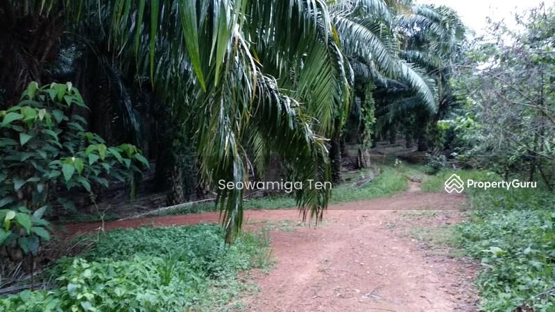 (Slopped Land) 45 Acres At Bahau, Gemas, Negeri Sembilan, Segamat