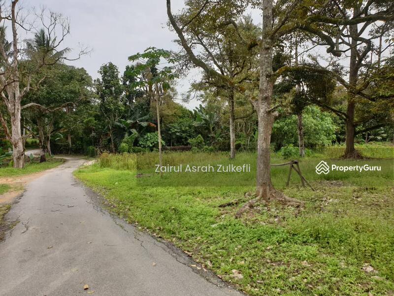 BIG LAND Tanah Pertanian Kampung Tengah Lenggeng Negeri Sembilan