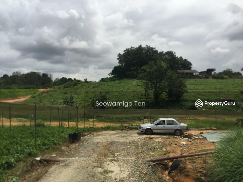 [No Longer Available] (Small Vegetable Farm)5 Acres At Impian Emas