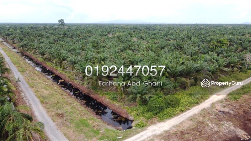 No Longer Available Land At Kg Parit Wir Pontian Pekan Nanas Pekan Nenas Pontian Johor Agricultural Lands For Sale By Farah Fa Rm 115 000 32159118