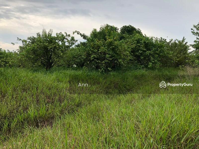 Semenyih Agriculture land for rent, Semenyih, Selangor, Agricultural