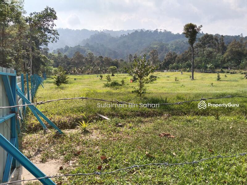 1. 72 Acres , New Planted Durian Farm, Mantin, Lenggeng, N9, Kampong