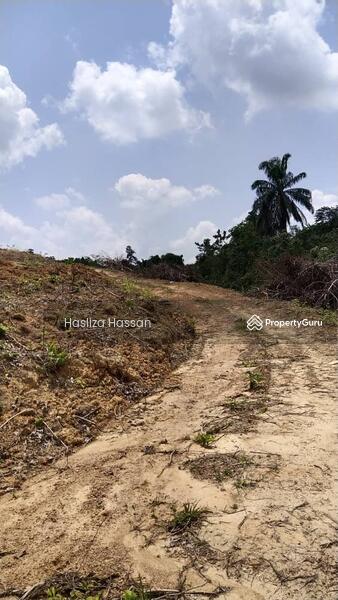 No Longer Available Tanah Kosong Bekas Tanaman Getah Untuk Dijual Juasseh Kuala Pilah Negeri Sembilan Juasseh Kuala Pilah Juasseh Kuala Pilah Negeri Sembilan Agricultural Lands For Sale By Hasliza Hassan Rm 480 000