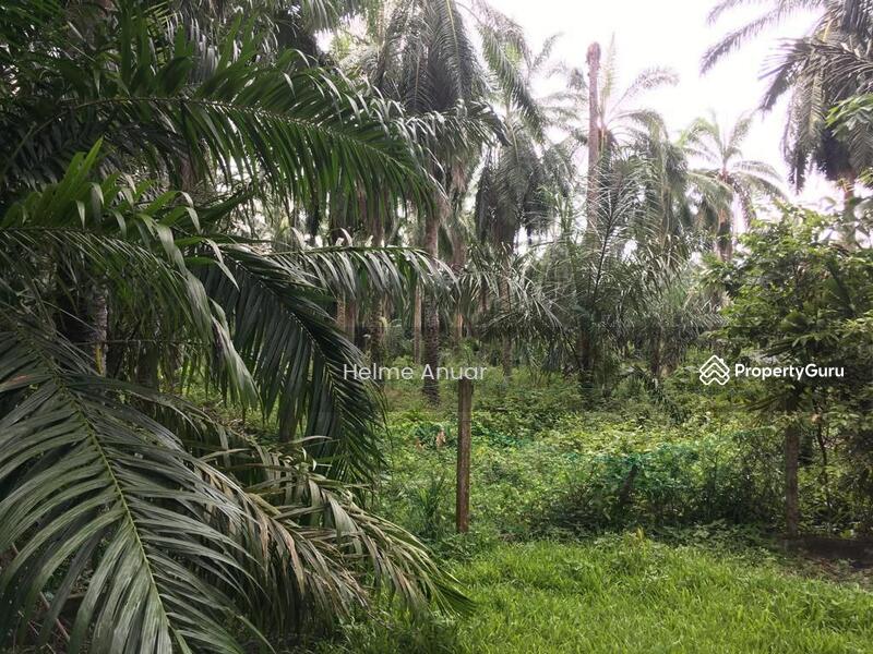 Juasseh Kuala Pilah, Negeri Sembilan, Juasseh, Kuala Pilah, Negeri