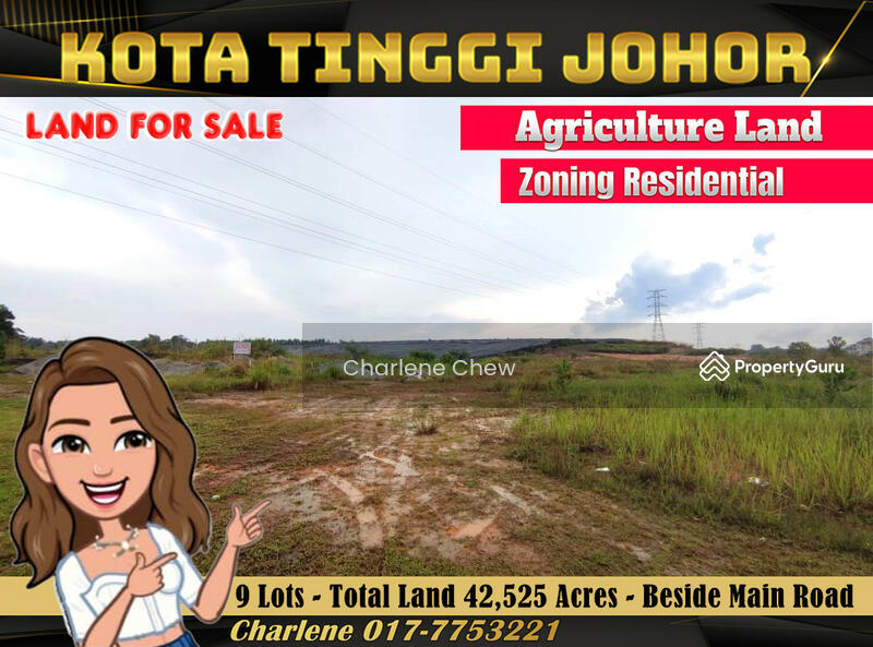 Kota Tinggi Agriculture land Zoning Residential 9 Lots Beside Main Road, Kota Tinggi, Kota