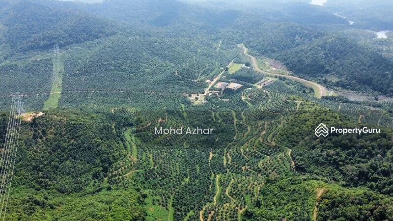 Agriculture Land Mukim Johol Kuala Pilah Negeri Sembilan, Johol, Kuala