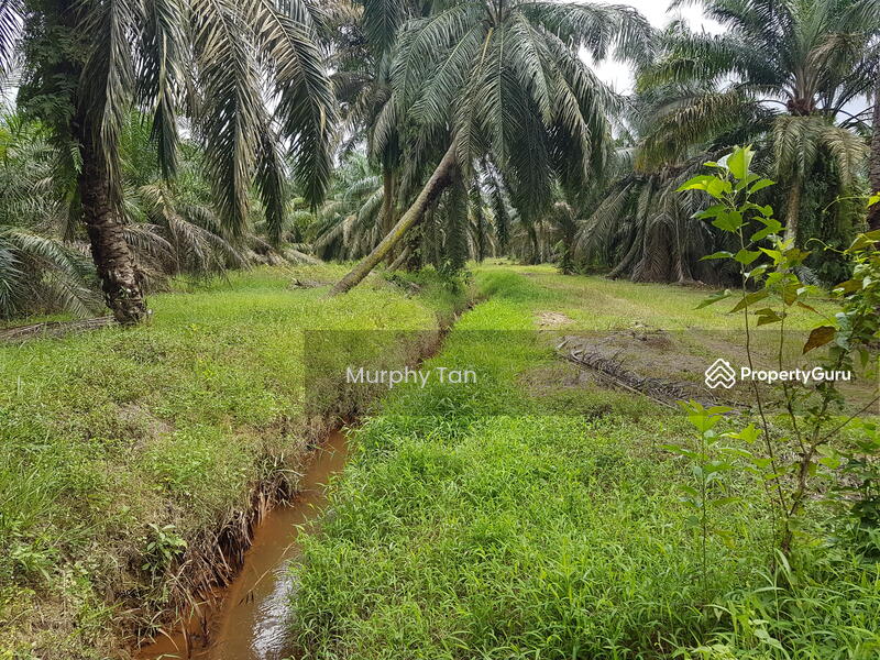 [No Longer Available] Bukit Tagar Agricultural Land, Bukit Tagar